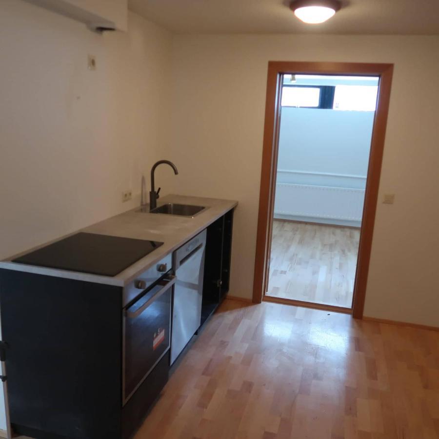 Large Apartment Close To The Centre Reykjavík Eksteriør billede
