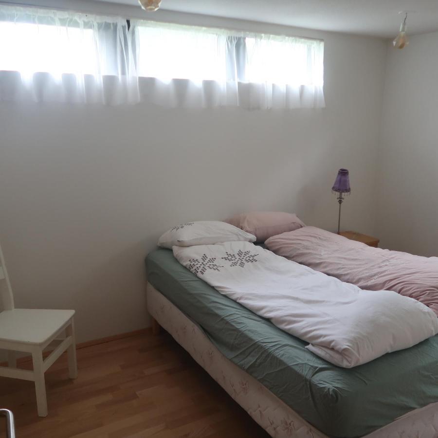 Large Apartment Close To The Centre Reykjavík Eksteriør billede